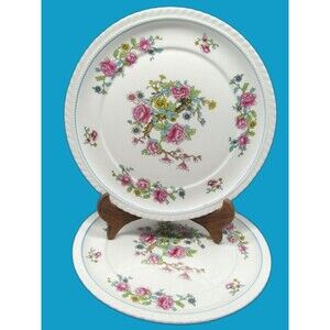 Steubenville Monticello Dinner plates 10.5" Set of 2